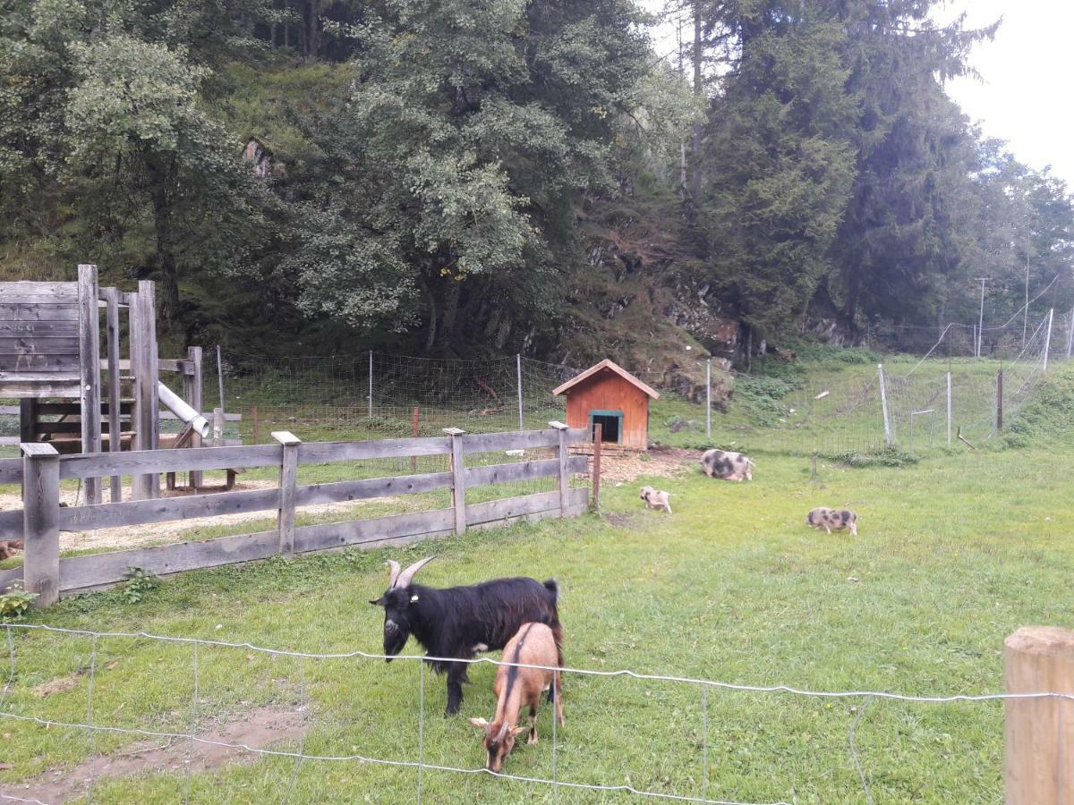 Ferienwohnung Alpklang Untertauern Exterior foto